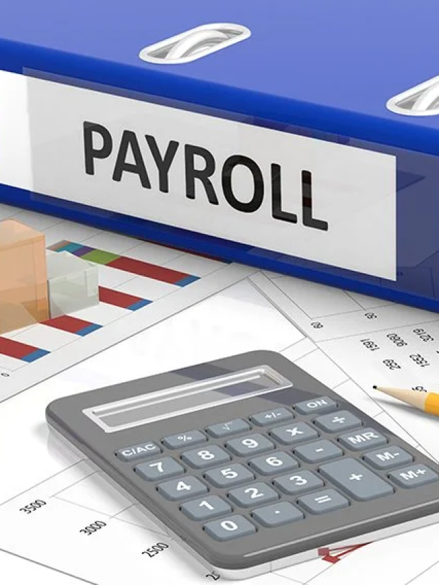 Use Our Payroll Software Management For Accurate & Timely Payments.