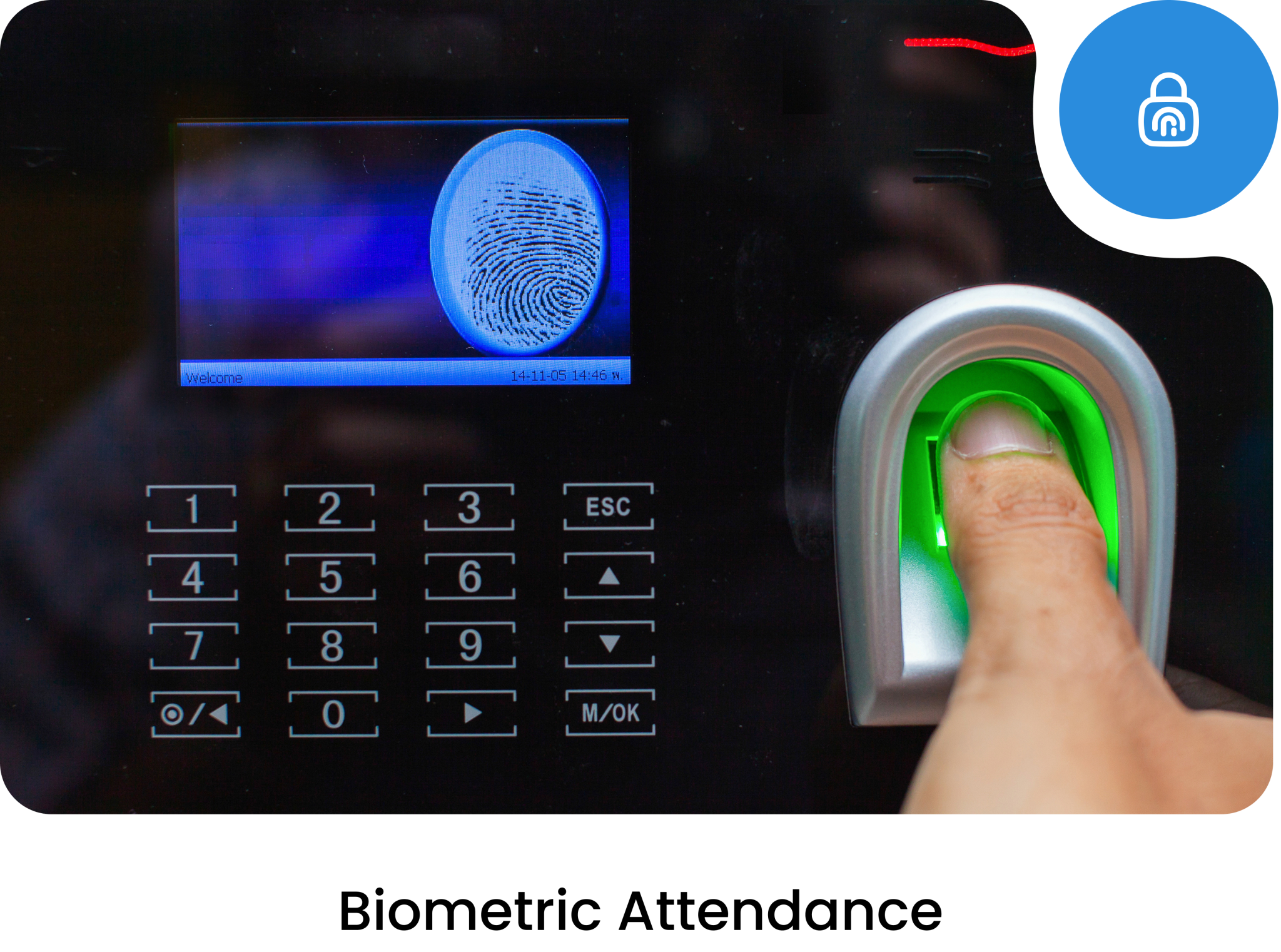 Zero Errors with Biometric Attendance Sync (1)